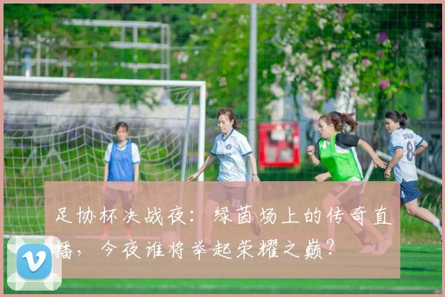 足协杯决战夜：绿茵场上的传奇直播，今夜谁将举起荣耀之巅？
