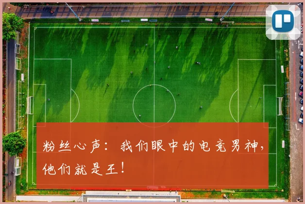 粉丝心声：我们眼中的电竞男神，他们就是王！