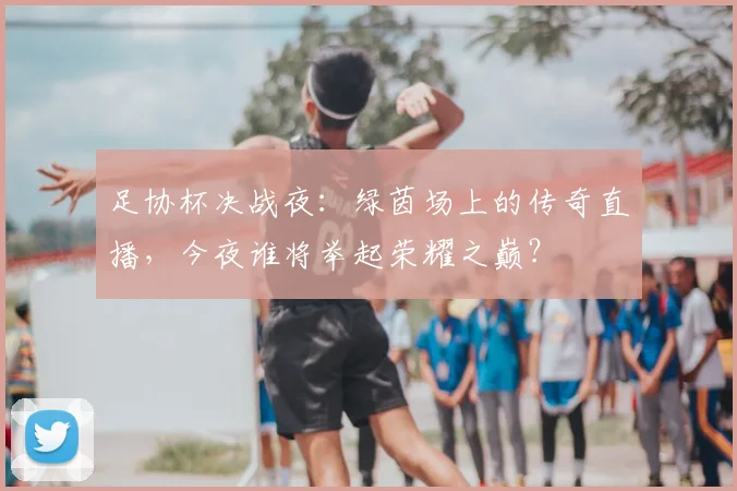 足协杯决战夜:绿茵场上的传奇直播,今夜谁将举起荣耀之巅?